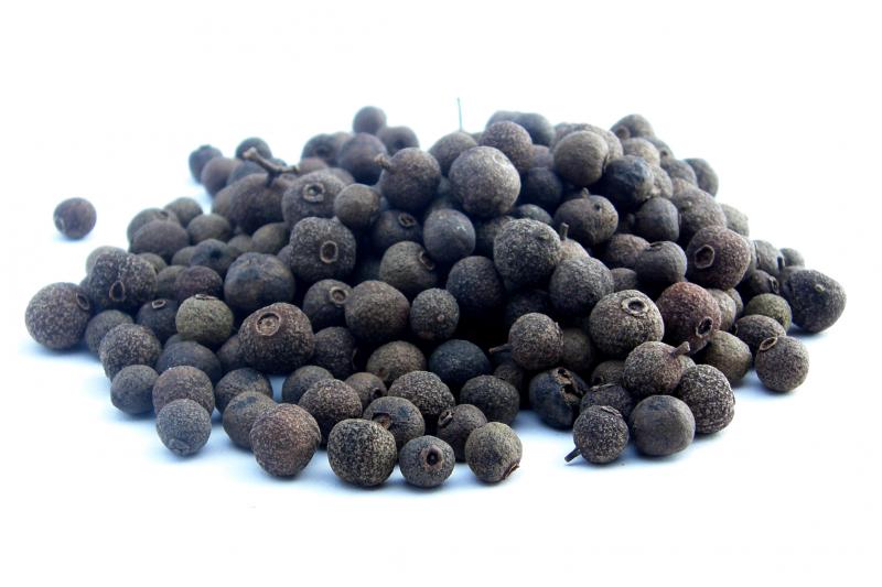 Levně Bylík Nové koření celé 100g