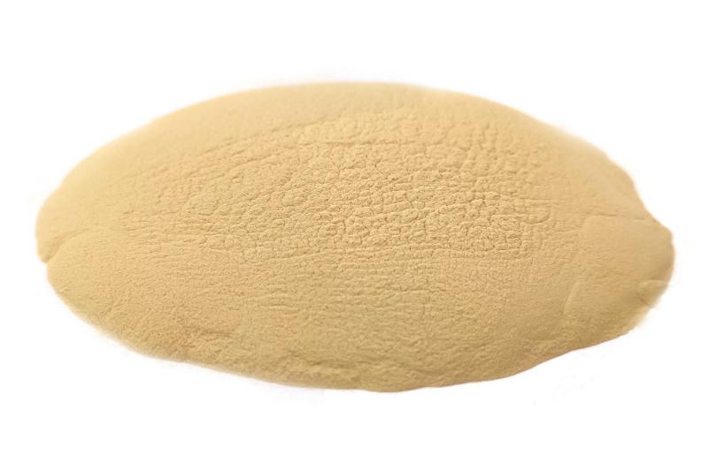 Levně Bylík Plavuň výtrusy prášek 100g