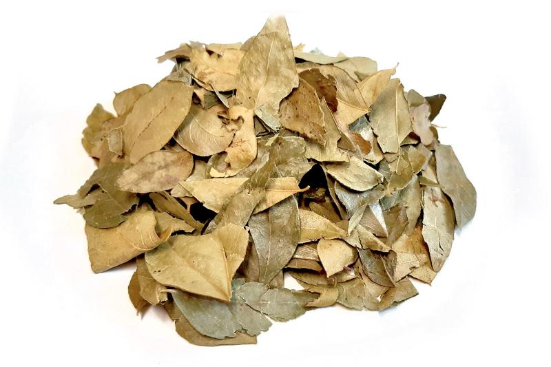 Bylík Karí lístky list 10g