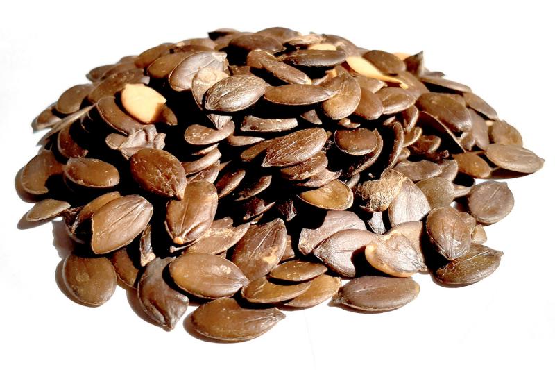 Levně Bylík Dýně EU semínko loupané 1000g