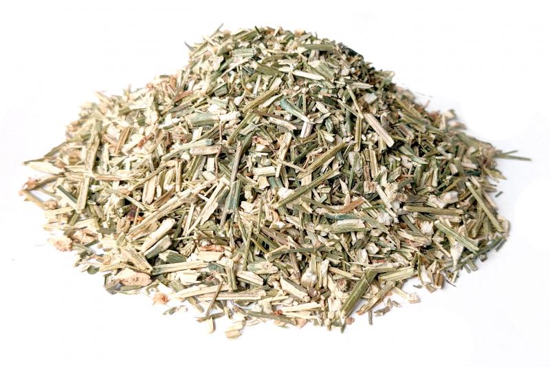 Levně Bylík Právenka nať 100g