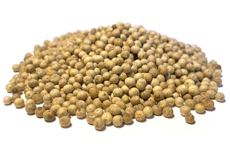 Levně Bylík Pepř Kampotský bílý celý 100g
