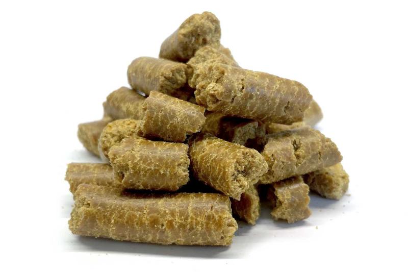 Levně Bylík Hořčičné pokrutiny granule 100g