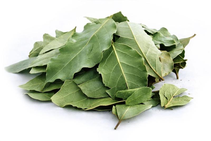 Levně Bylík Bobkový list list tříděný 100g