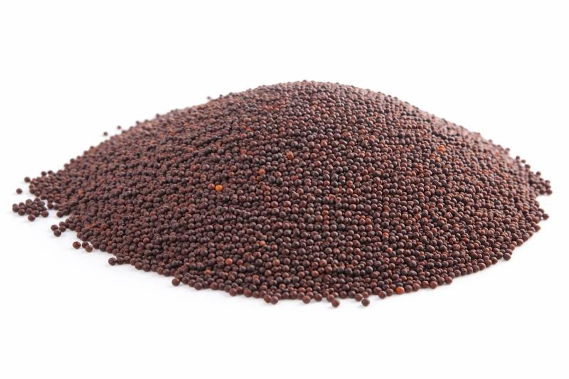 Levně Bylík Hořčice černá celá 100g