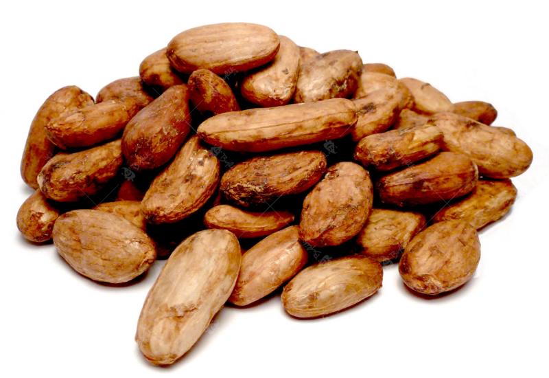 Levně Bylík Kakaové boby plod 1000g