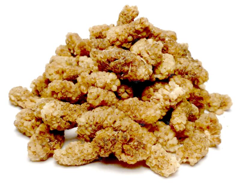 Levně Bylík Moruše plod 100g