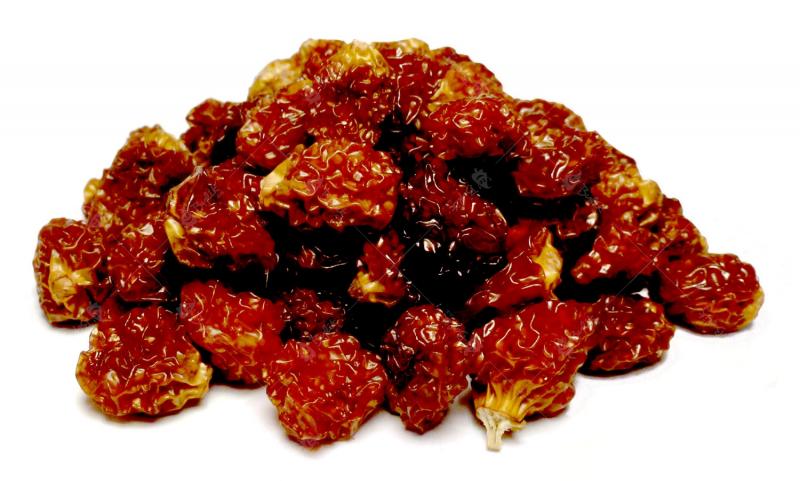 Levně Bylík Goldenberries sušené plody 100g